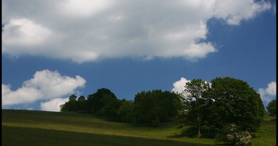 Kajetan Kajetanowicz